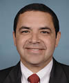 Henry Cuellar (D)